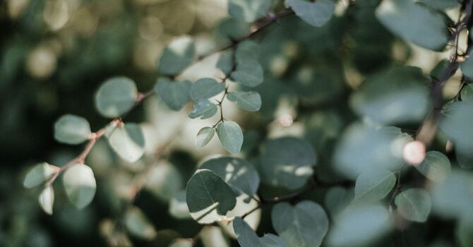 Rehabilitative Care & Support